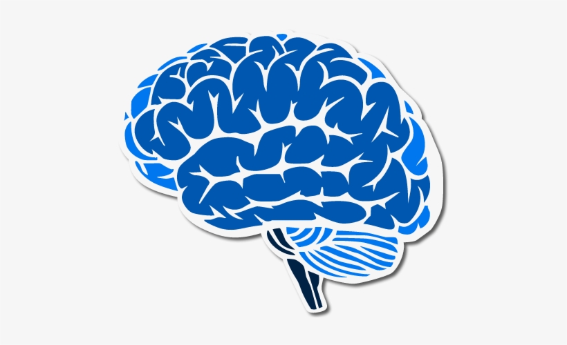 Brain - Brain Clipart Blue, transparent png #987769