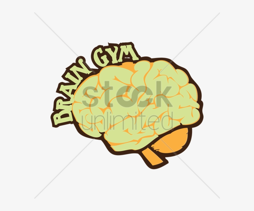 Human Brain With Brain Gym Words Vector Graphic Clipart - Vector Graphics, transparent png #987790