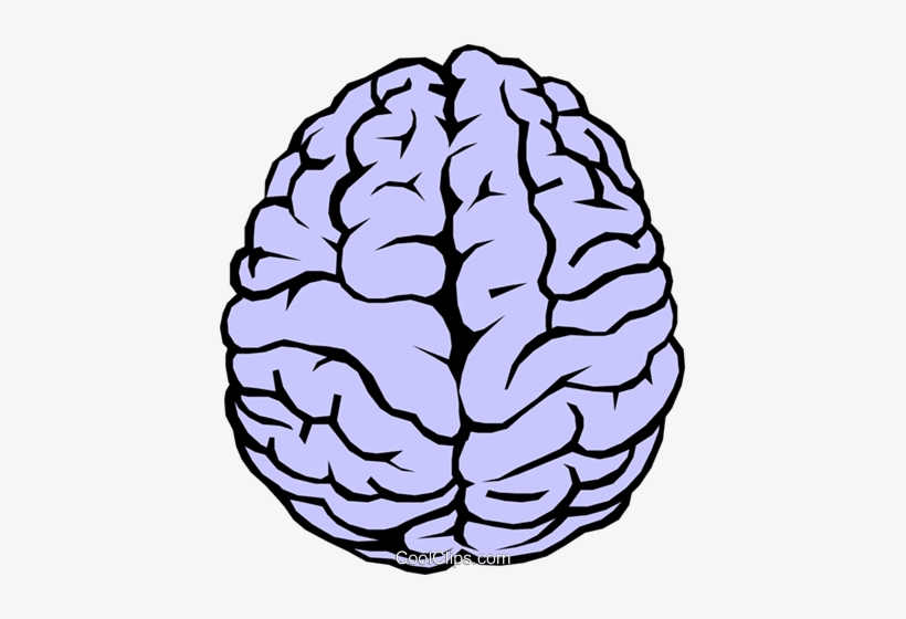 Royalty Free Download Human At Getdrawings Com Free - Cerebro Vetor Png, transparent png #987946