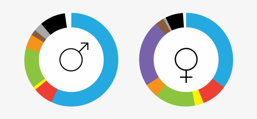 Colour By Gender - Gender, transparent png #988284
