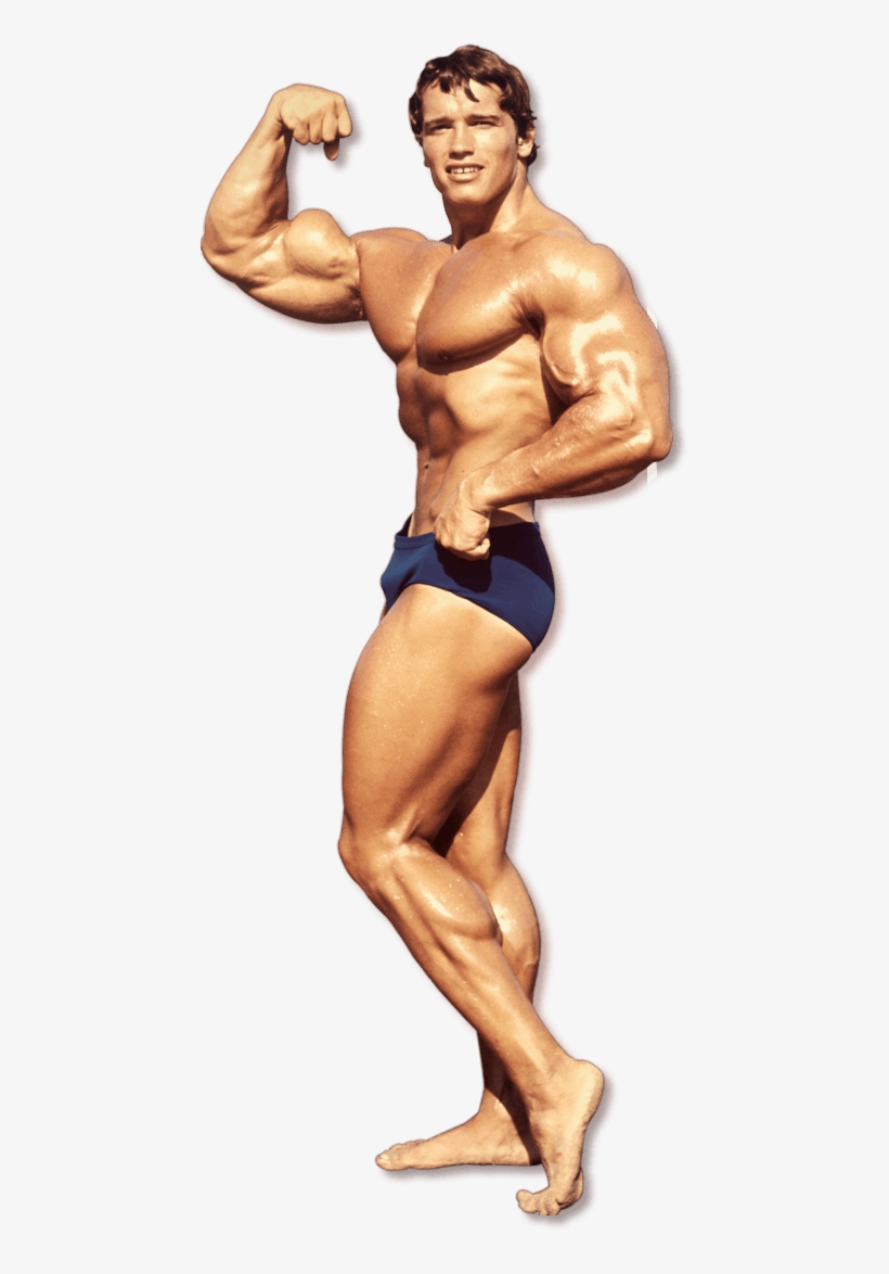 Free Bodybuilding Png File - Arnold Schwarzenegger Body Png, transparent png #988285