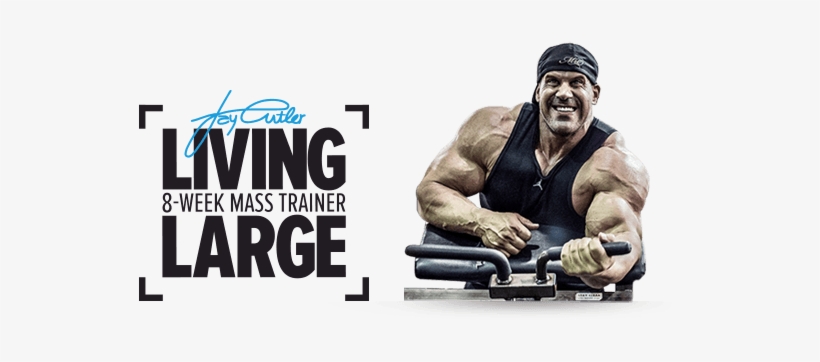 Living Large With Jay Cutler Is A Complete Muscle-building - Bodybuilding Workout Png, transparent png #988484