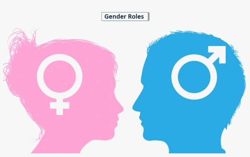 Gender Png Hd - Gender Roles Png, transparent png #988753