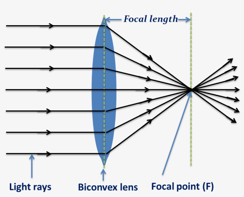 Biconvex Len- Converging Light Rays - Biconvex, transparent png #988821