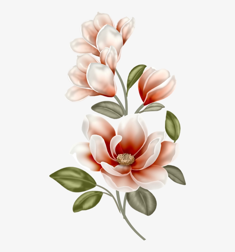 Clip Art Free Library Florinda Ou Flor Linda Manolya - Magnolia Clipart, transparent png #988822