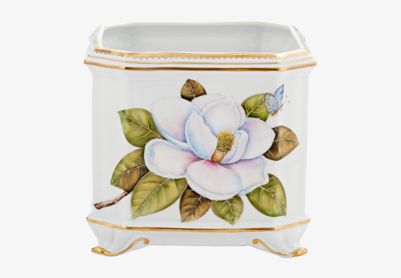 More Views - Magnolia, transparent png #989357