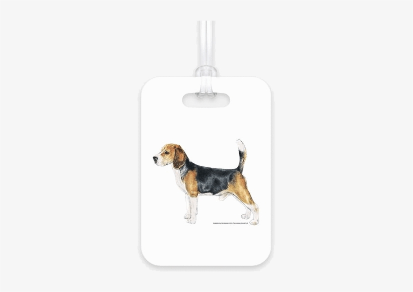 Beagle Luggage Tag - Dog Breeds Az, transparent png #989828
