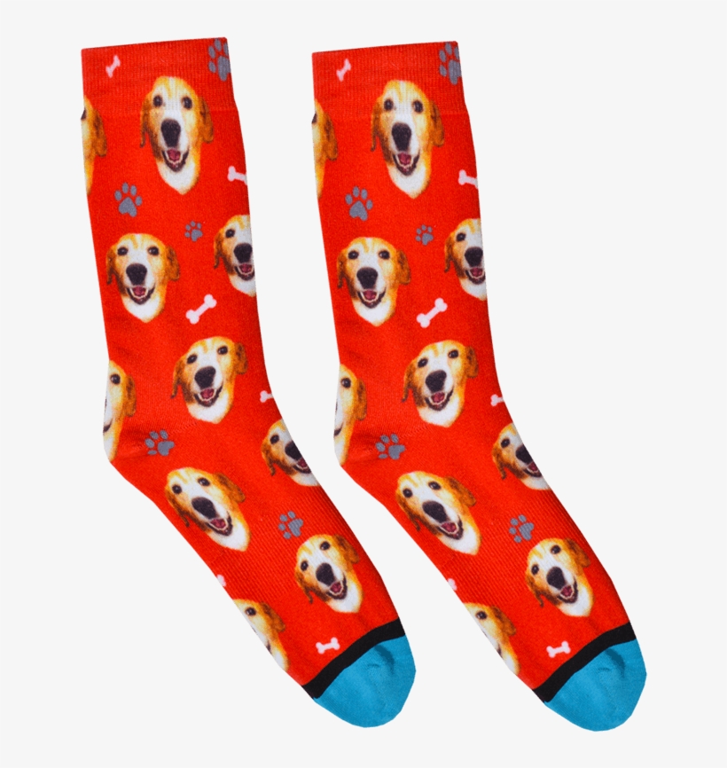 Custom Dog Socks, transparent png #9801531
