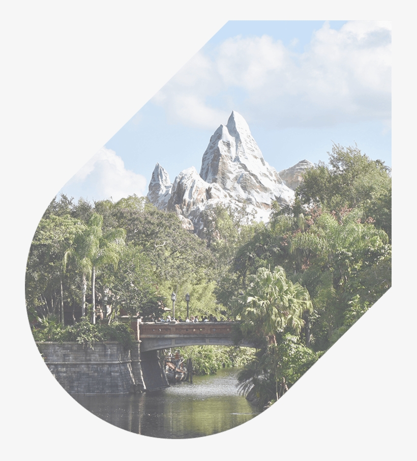 407 274 9782 Our Agents Are Available 24/7 - Disney's Animal Kingdom, transparent png #9801813