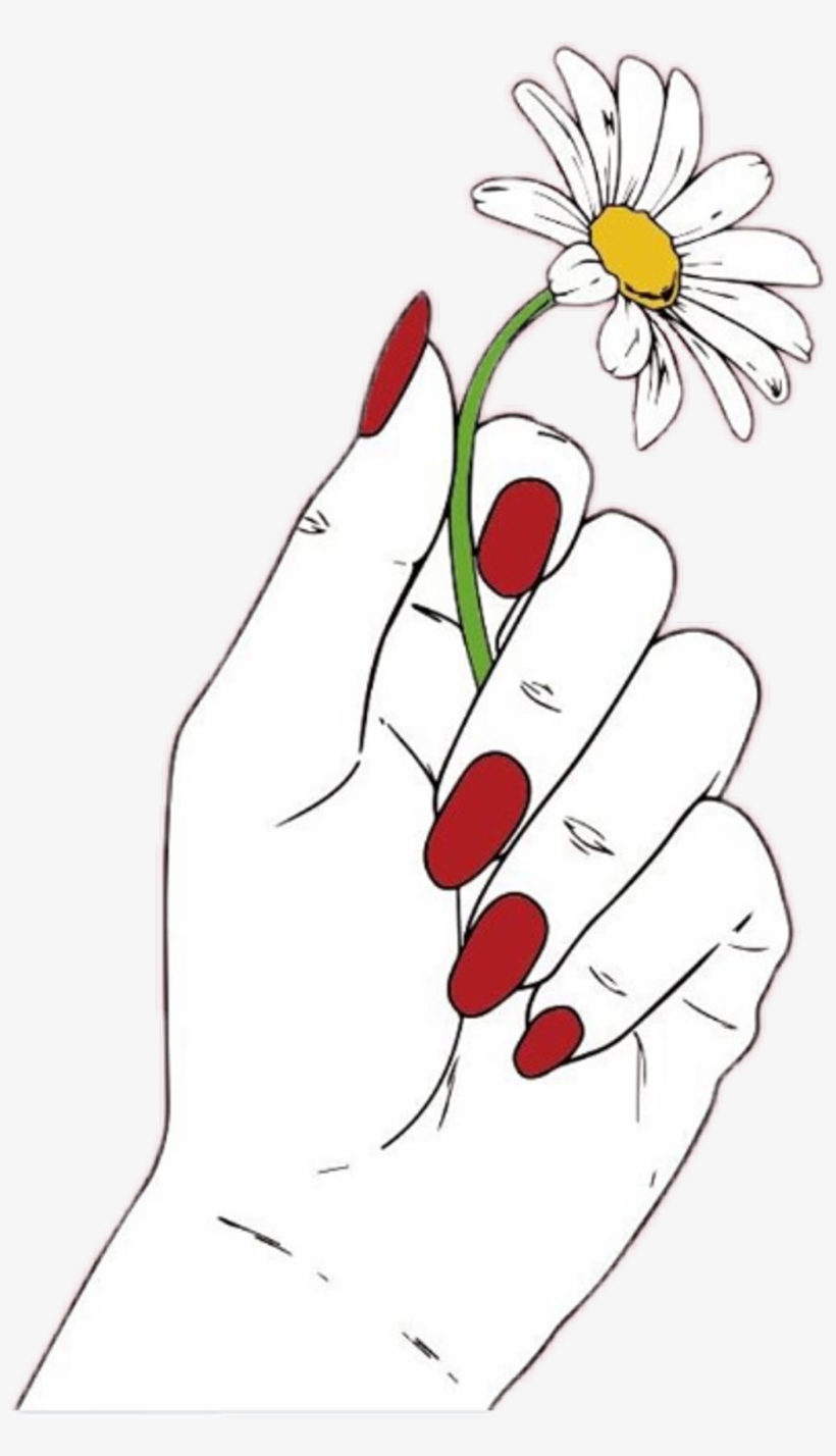 #daisy #flower #red #hand #nails #white #draw #tumblr - Drawing Of Hands Holding Flowers, transparent png #9801816