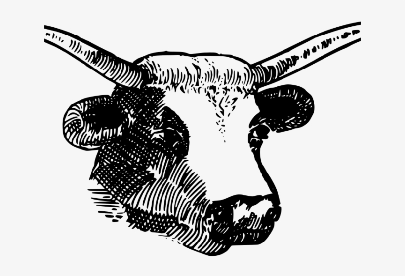 Bulls Clipart Bull Horn - Long Horns Drawing, transparent png #9802145