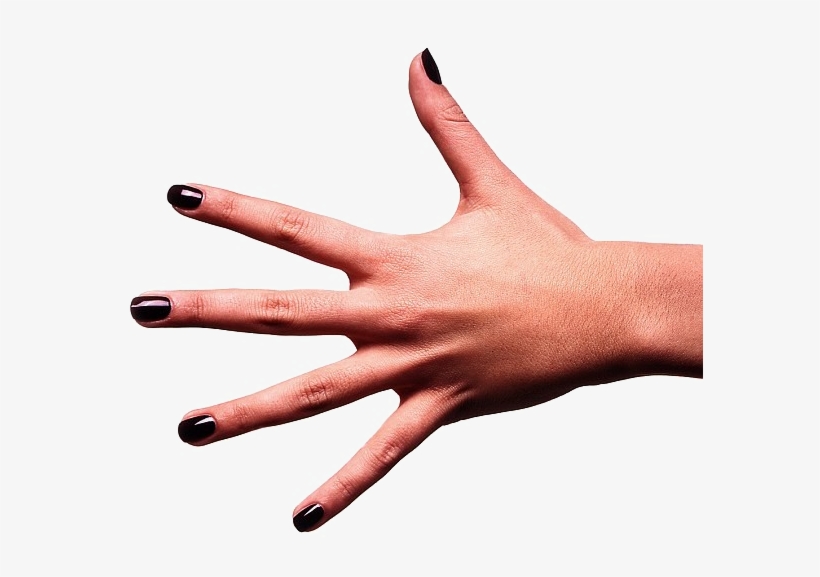 Nail Polish, transparent png #9802530