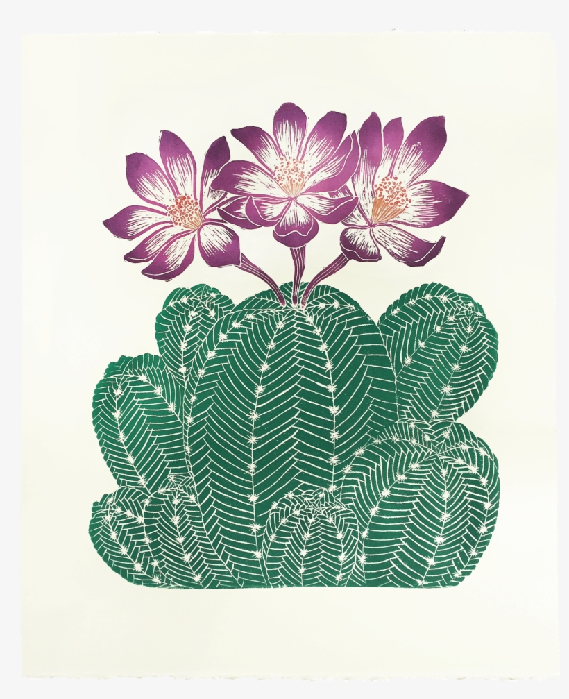 955490 D 2160 2447 S 2 - Hedgehog Cactus, transparent png #9802988