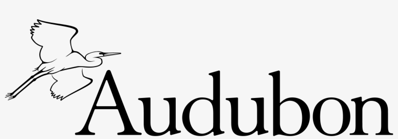 Audubon Society - National Audubon Society, transparent png #9803436