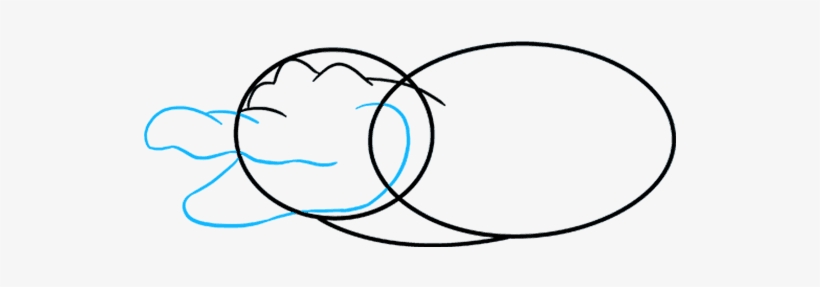 How To Draw Alligator - Alligator Drawing, transparent png #9803439