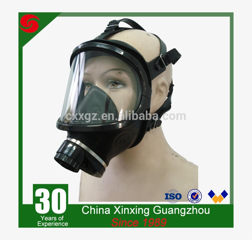 Canister Wide Visual Field Filtering Gas Mask - Bulletproof Vest Material, transparent png #9803988
