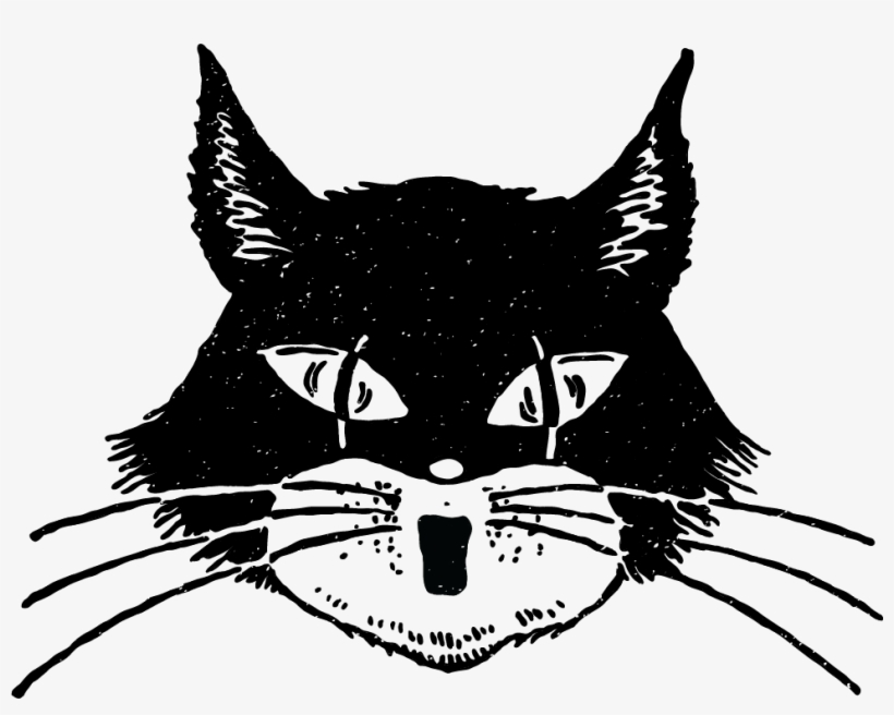 970 X 729 1 - Illustration, transparent png #9804082