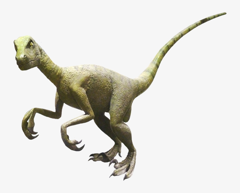 Allosaurus Clipart - Tyrannosaurus, transparent png #9805173