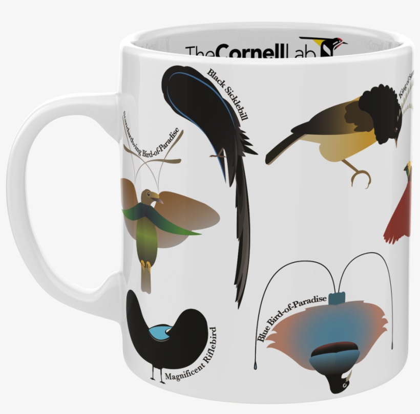Birds Of Paradise Mug - Coffee Cup, transparent png #9808474