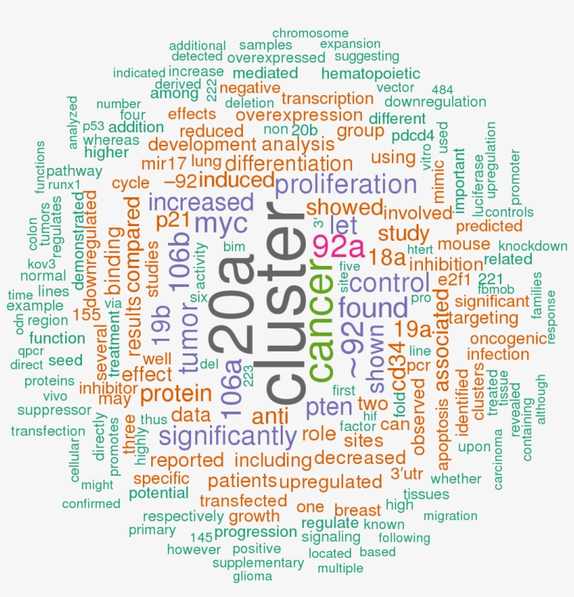 Sort By - Hsa Let 7a 3p 5p 3 Utr, transparent png #9809430