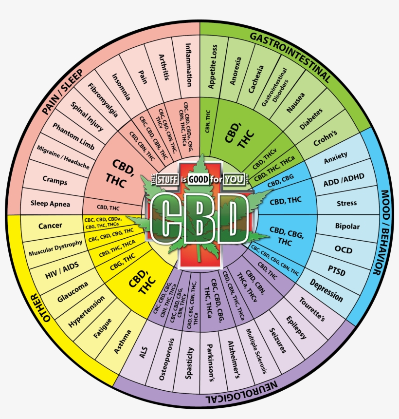 Cbd Symptom Wheel - Muay Thai Association Of The Philippines Logo, transparent png #9811594