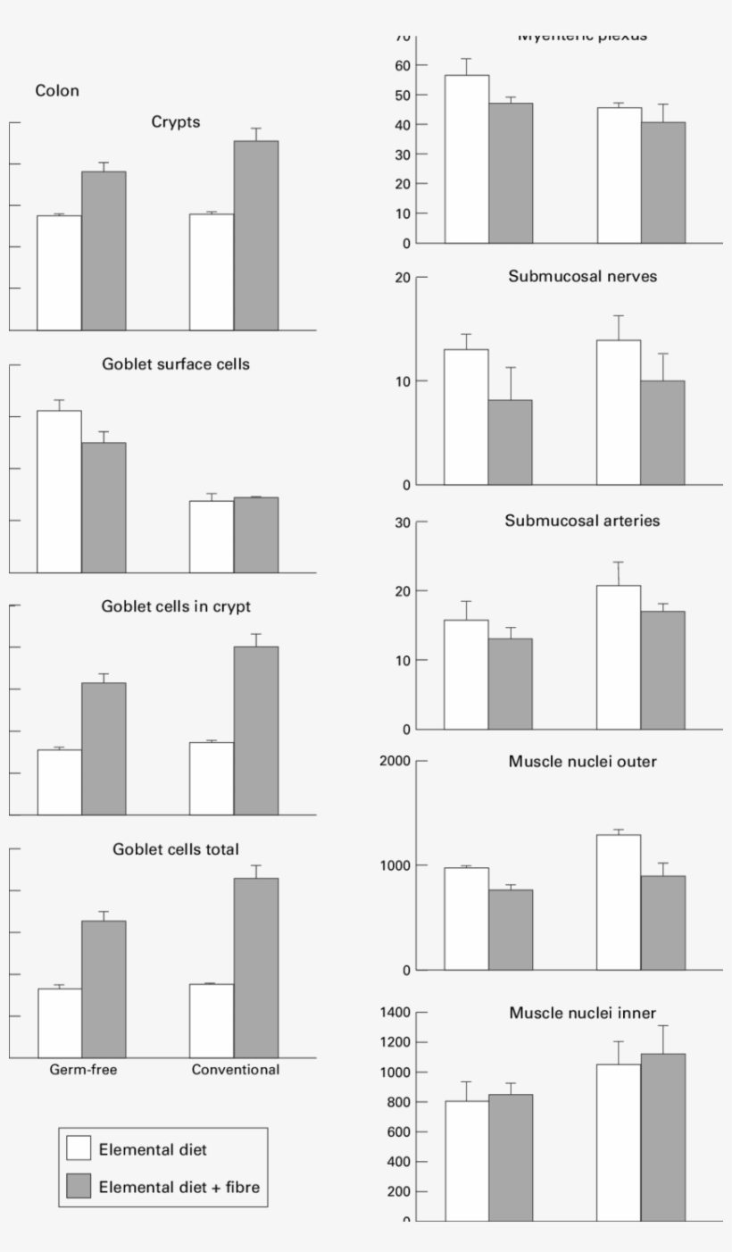Evects Of The Various Treatments On The Morphometry - Monochrome, transparent png #9812147