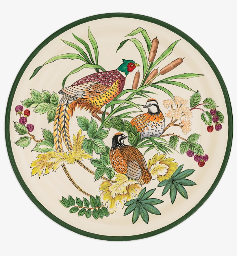 Tol-500 Pheasant & Quail, transparent png #9812719