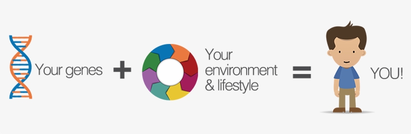 Genetic Factors Also Affect Our Sensitivity To Positive - Gene Environment Interaction, transparent png #9812965