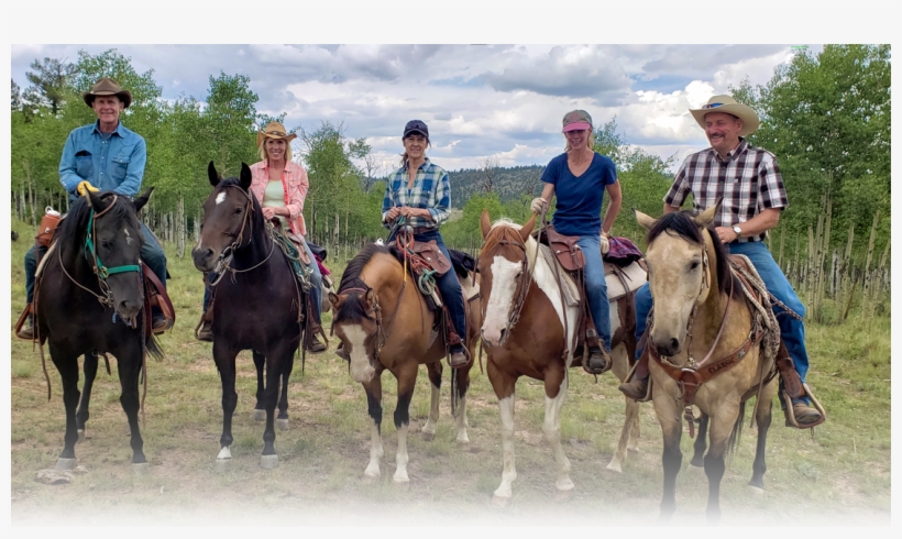 A/u Ranches - Stallion, transparent png #9815260
