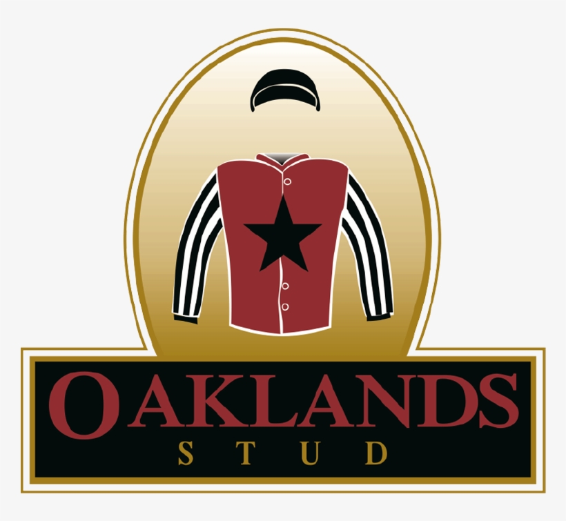 Hours & Info - Illustration, transparent png #9816267