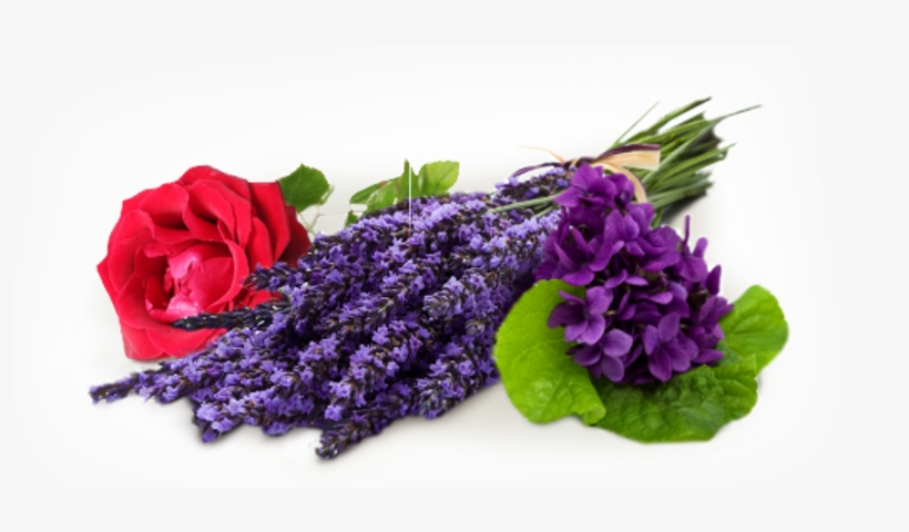 Flower Smell Png, transparent png #9816860