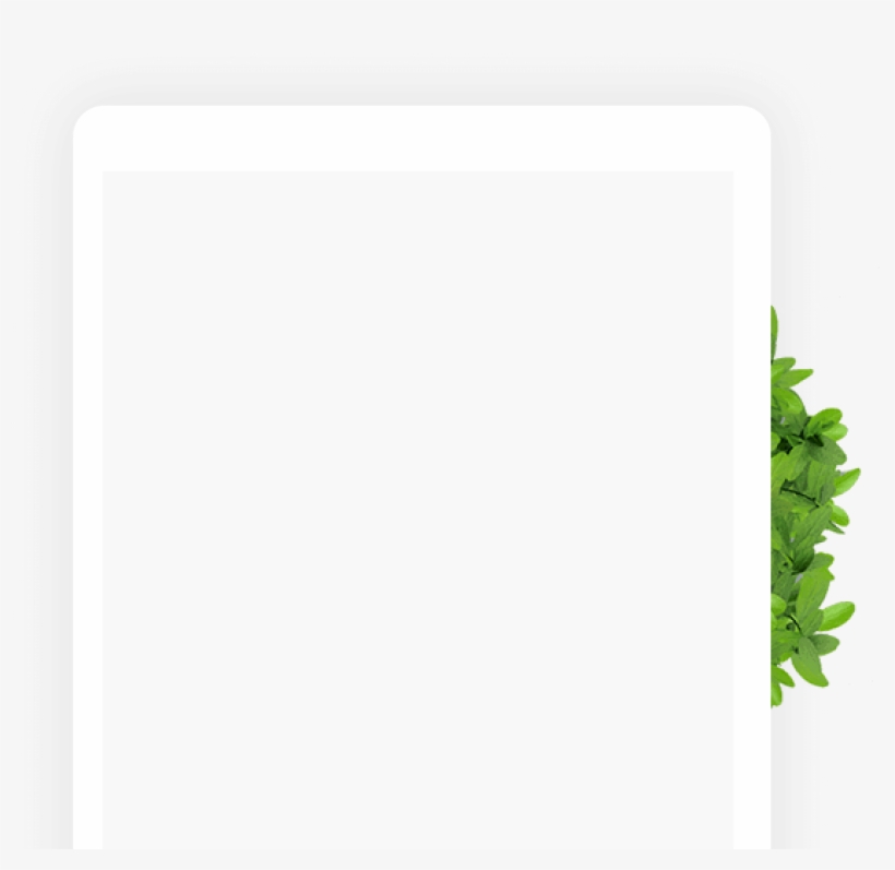 Relevant Content, Neat Design, And A Law-compliant - Fern, transparent png #9820132