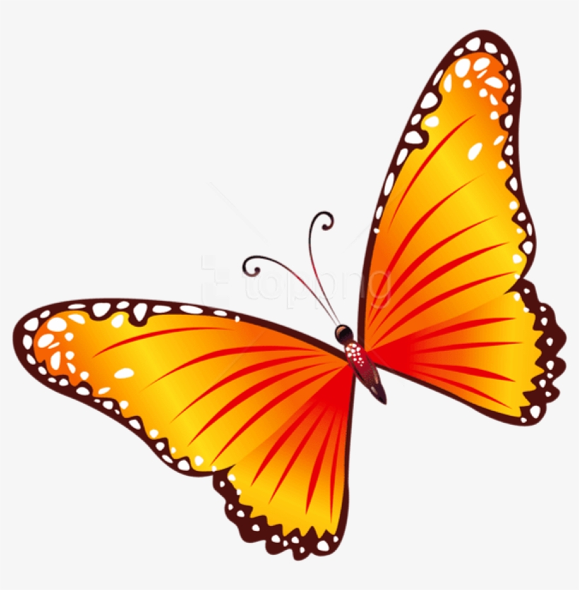 Free Png Download Transparent Orange Butterfly Clipart - Yellow And Red Butterfly, transparent png #9820723