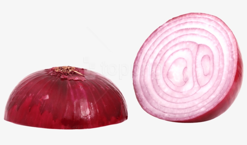 Free Png Download Red Sliced Onion Png Images Background - Onion Png, transparent png #9821252