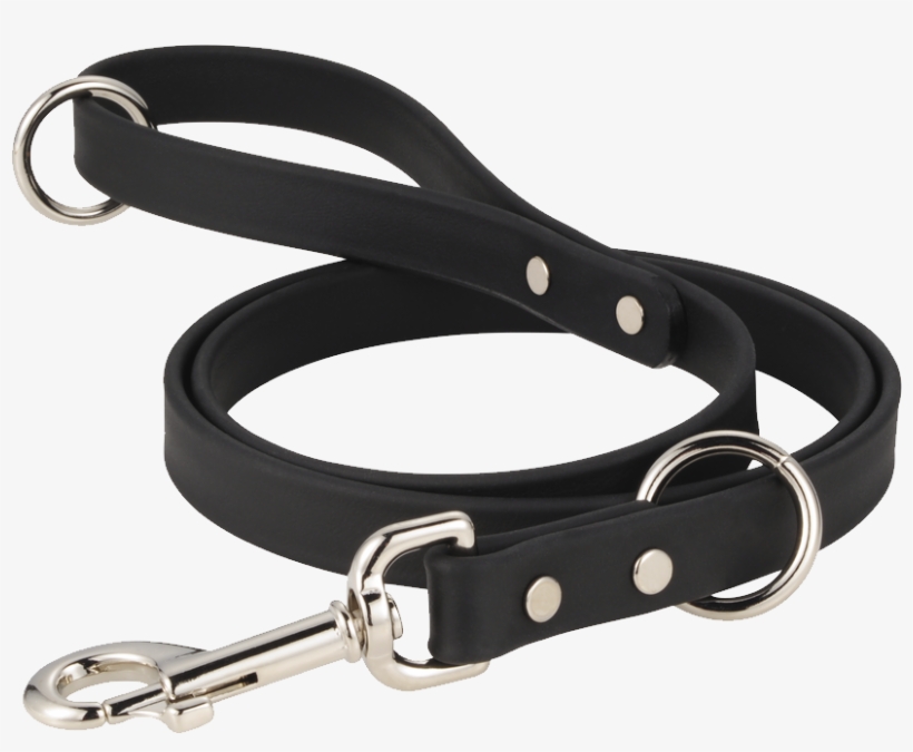 Leash Png - Collar And Leash Png, transparent png #9821373