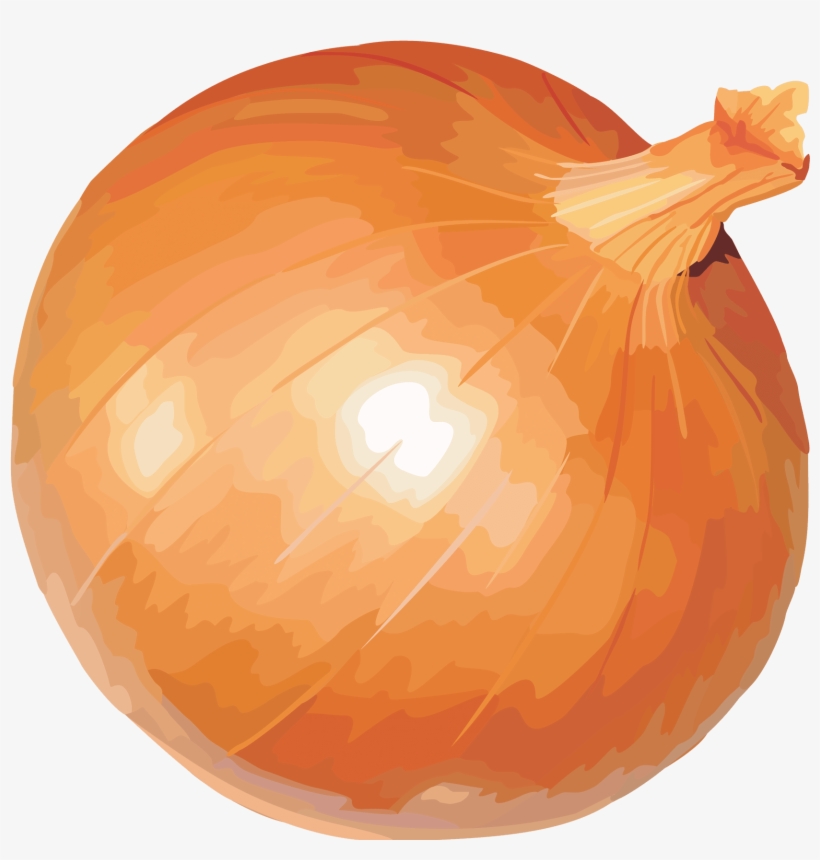 Golden Onion, transparent png #9821375