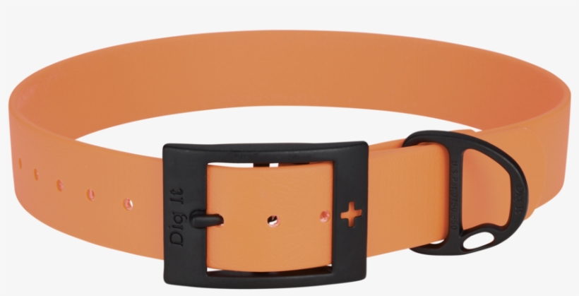 Belt, transparent png #9821545