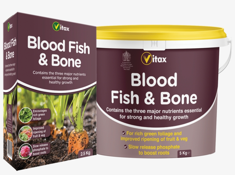 More Views - Blood Fish And Bone, transparent png #9821766