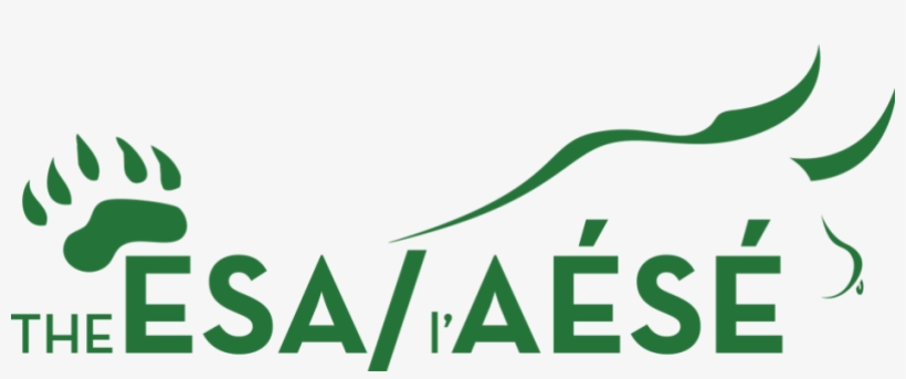 Cropped Cropped Esa Bb Logo 2, transparent png #9822689