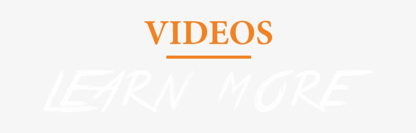 Fiducoldex, transparent png #9824993