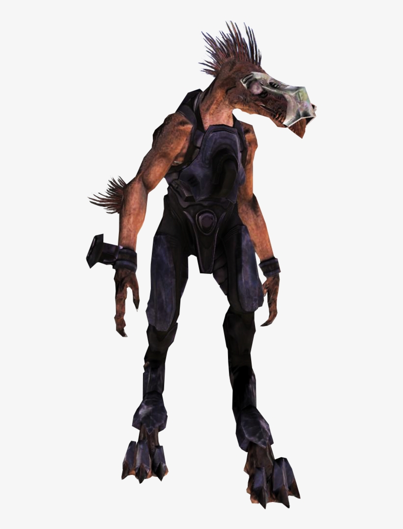 Jackalsniper " - Stallion, transparent png #9826897