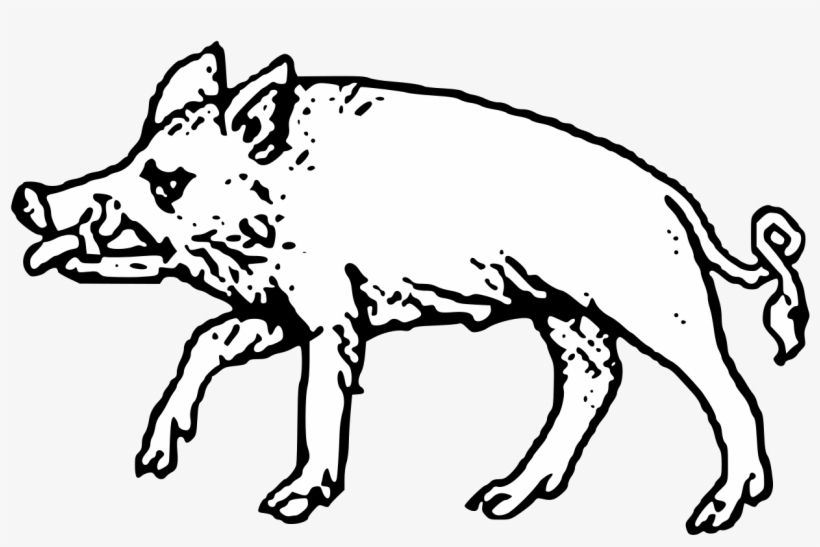 File - Crude Boar - Svg - Heraldic Boar Clipart, transparent png #9828604