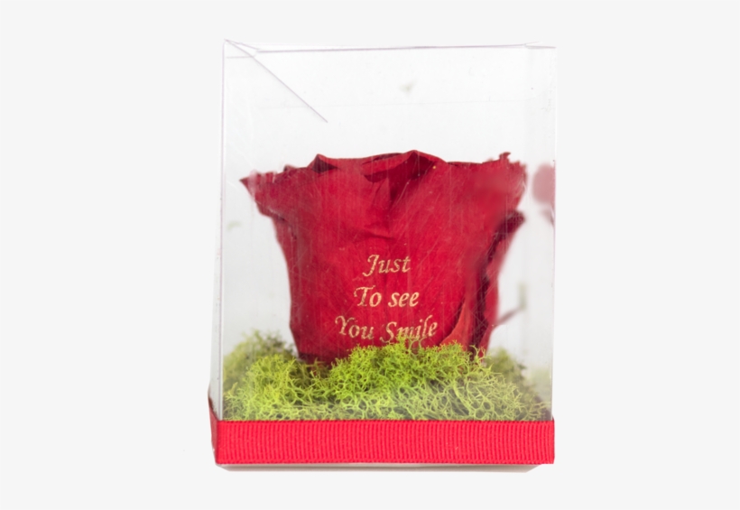 Greeting Card, transparent png #9828651