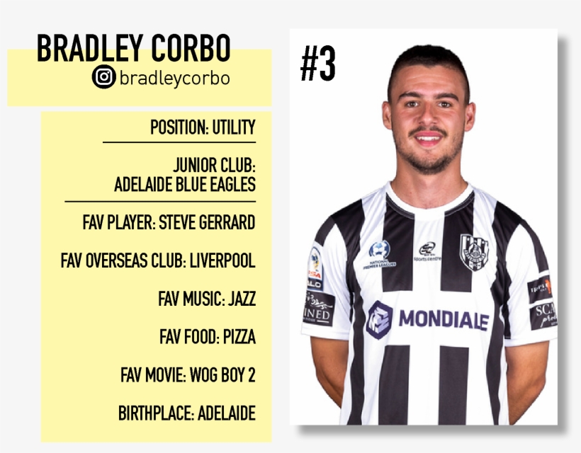 Npl - Laurel Wreath, transparent png #9829235