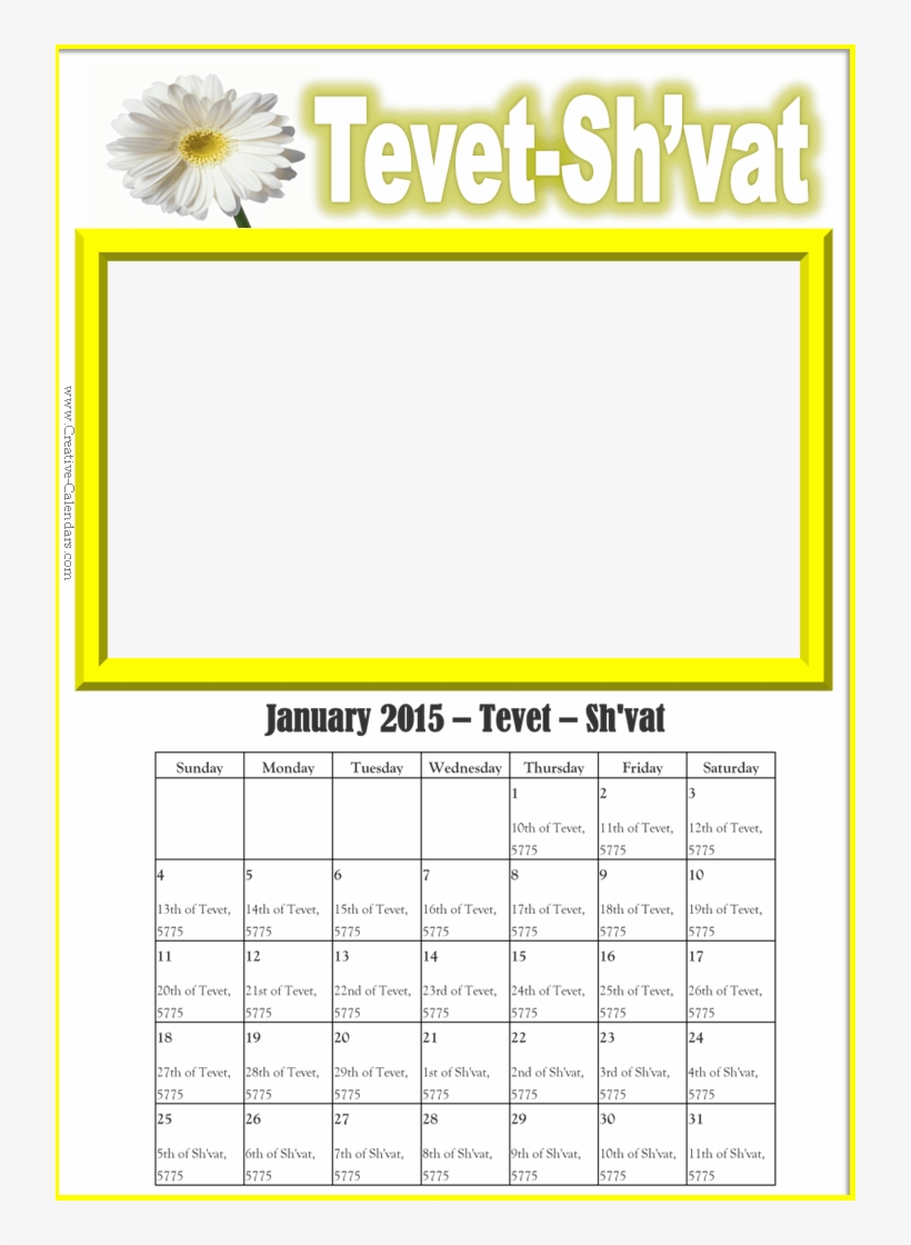 Hebrew Calendar - Daisy, transparent png #9829763