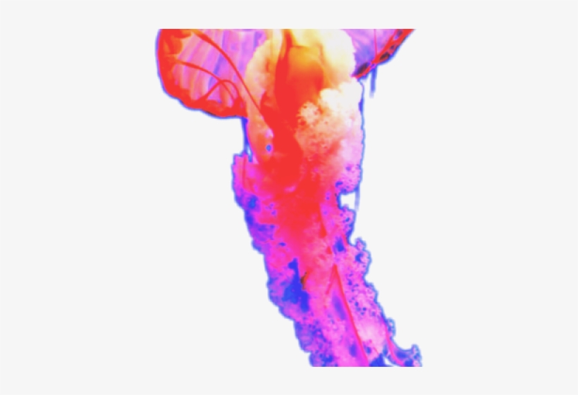 Jellyfish Clipart Man O War - Close-up, transparent png #9830341