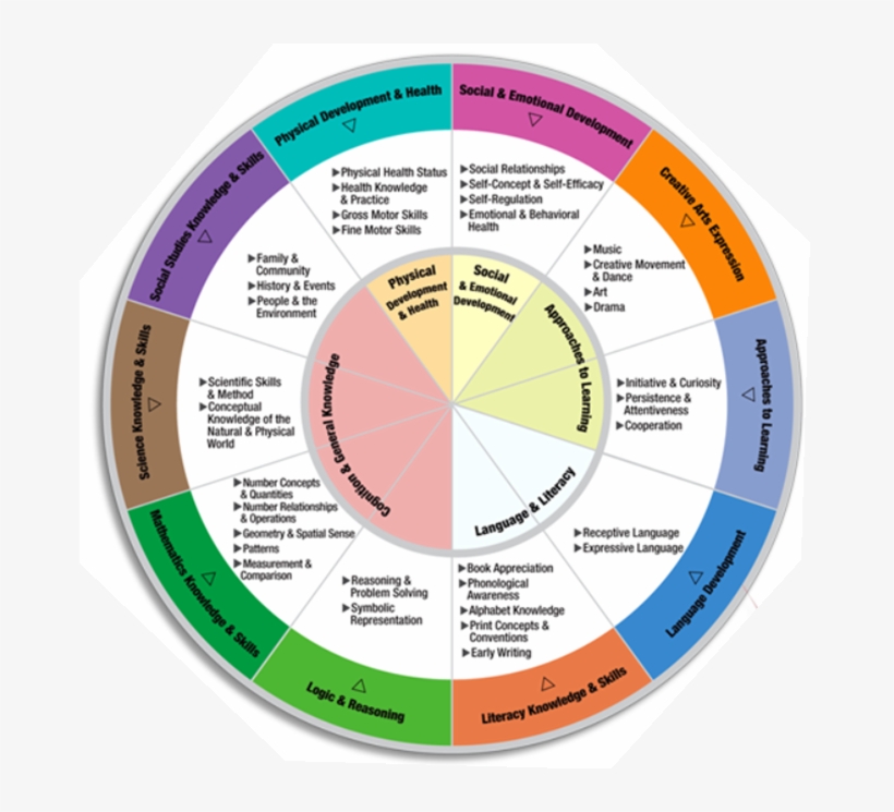 Head Start Curriculum Framework - Example Of Curriculum Frameworks, transparent png #9831419