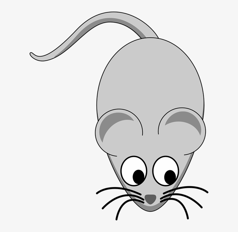Mouse Rodent Animal - Mouse Clipart, transparent png #9832451