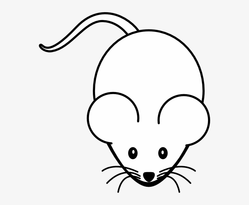 Original Png Clip Art File White Mouse Svg Images Downloading - Balb C ...