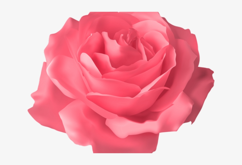 Pink Rose Clipart Png Format - Transparent Background Purple Roses Transparent, transparent png #9832854